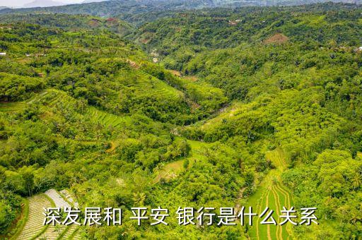 深發展和 平安 銀行是什么關系