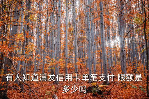 浦發銀行東方卡限額