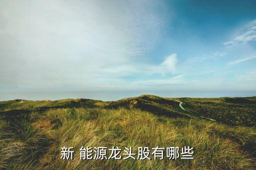 股票新能源汽車概念股,新能源發電概念股有哪些股票