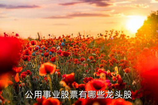 公用事業股票有哪些龍頭股