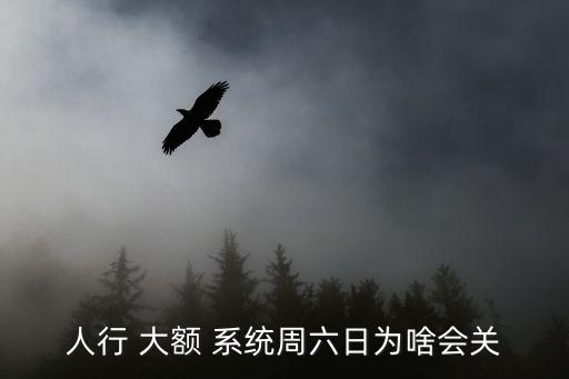 人民銀行大額支付系統,2023年國慶節人民銀行大額支付系統