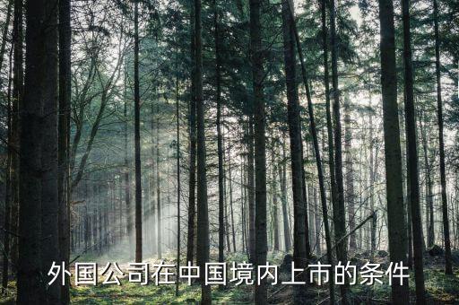 外國公司在中國境內上市的條件