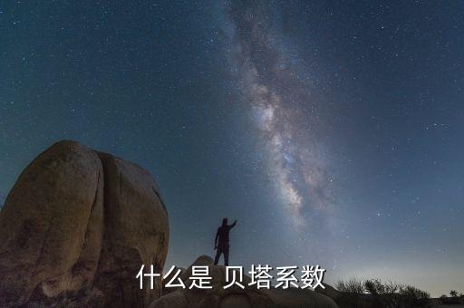 什么是 貝塔系數