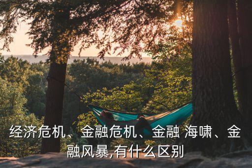 經濟危機、金融危機、金融 海嘯、金融風暴,有什么區別