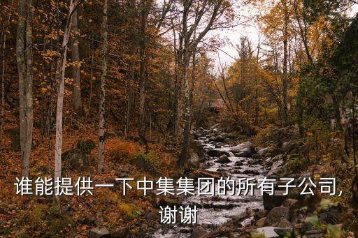 嘉興中集木業有限公司,衡陽市嘉興木業有限公司