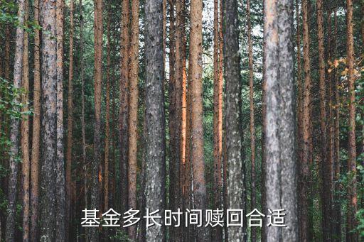 基金購(gòu)買(mǎi)最快什么時(shí)候可以拿出來(lái),當(dāng)天購(gòu)買(mǎi)基金凈值按什么時(shí)候的