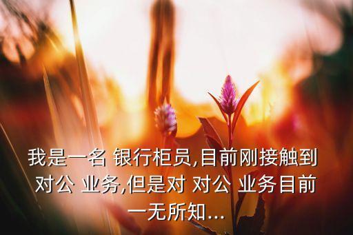 我是一名 銀行柜員,目前剛接觸到 對公 業務,但是對 對公 業務目前一無所知...