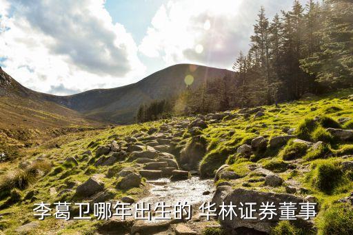 李葛衛哪年出生的 華林證券董事