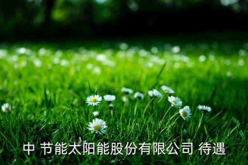 中 節能太陽能股份有限公司 待遇