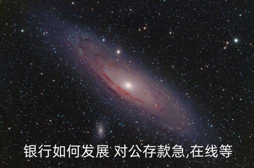  銀行如何發展 對公存款急,在線等