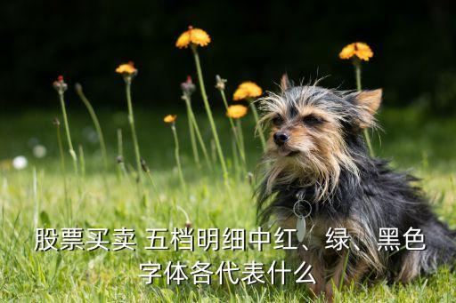  股票買賣 五檔明細中紅、綠、黑色字體各代表什么