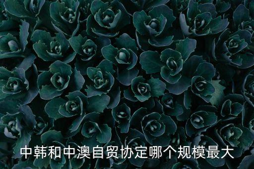 中韓和中澳自貿協定哪個規模最大