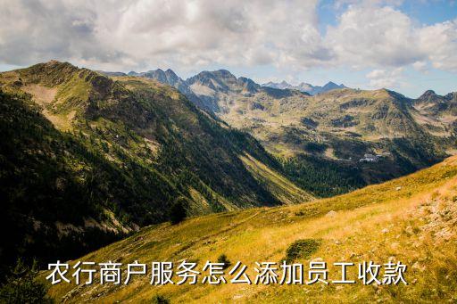 中國農業銀行e商管家