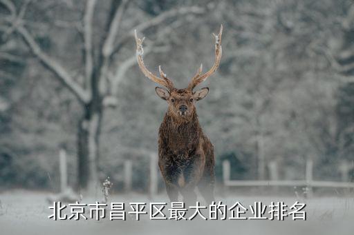 北京市昌平區最大的企業排名