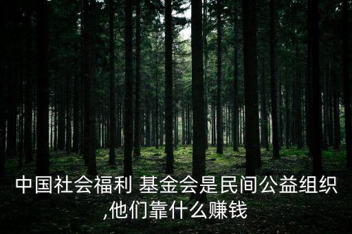 基金會如何盈利,老牛基金會靠什么盈利