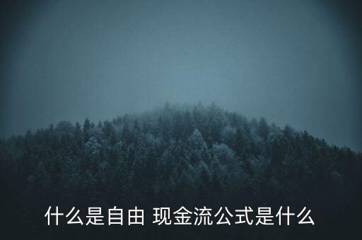 什么是自由 現金流公式是什么