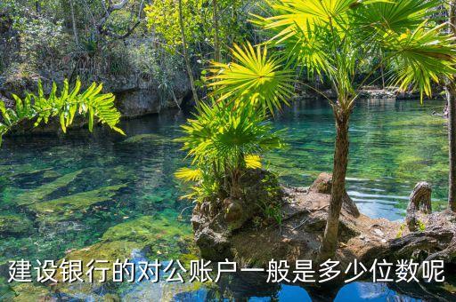 建設銀行的對公賬戶一般是多少位數呢
