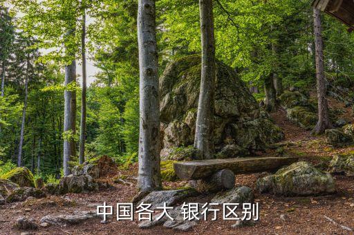 村鎮銀行和民營銀行的區別,民營銀行會不會像河南村鎮銀行取不到錢