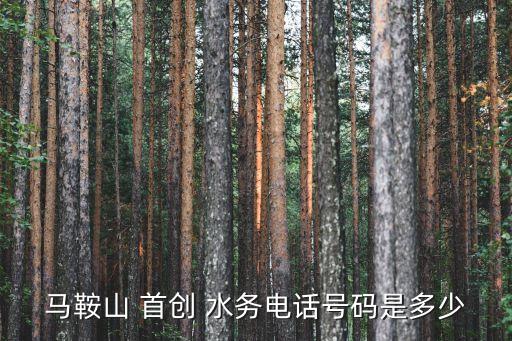 恩施首創水務有限公司,成都首創水務有限公司
