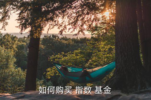 增強型型指數基金,中證1000增強型指數基金