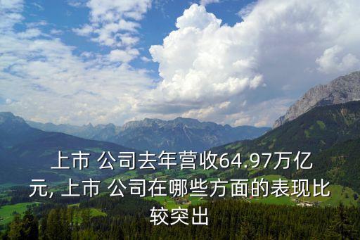  上市 公司去年營收64.97萬億元, 上市 公司在哪些方面的表現比較突出
