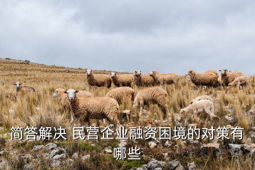 民營借貸公司怎樣開展業務