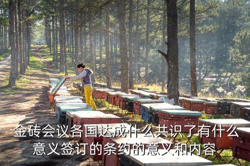  金磚會議各國達成什么共識了有什么意義簽訂的條約的意義和內容