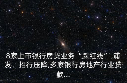 浦發銀行13年年報