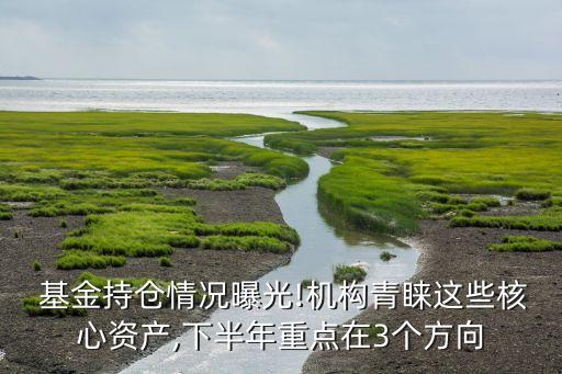 基金投向,產業基金投向