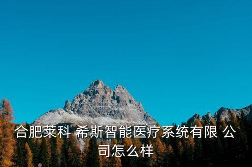 合肥萊科 希斯智能醫療系統有限 公司怎么樣