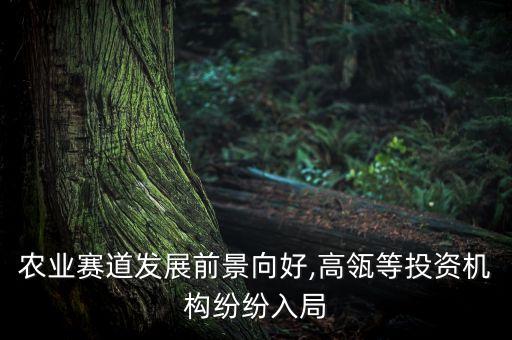 農業賽道發展前景向好,高瓴等投資機構紛紛入局