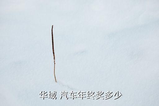 華域汽車電動系統有限公司待遇,武漢華域汽車零部件有限公司招聘