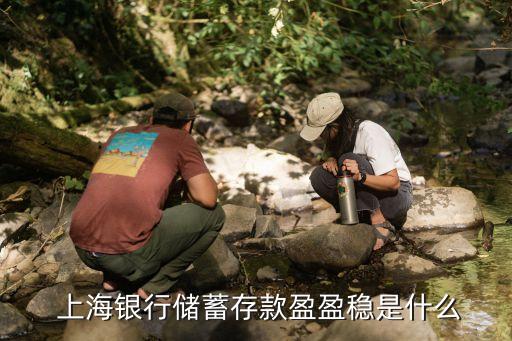 上海銀行儲蓄存款盈盈穩是什么