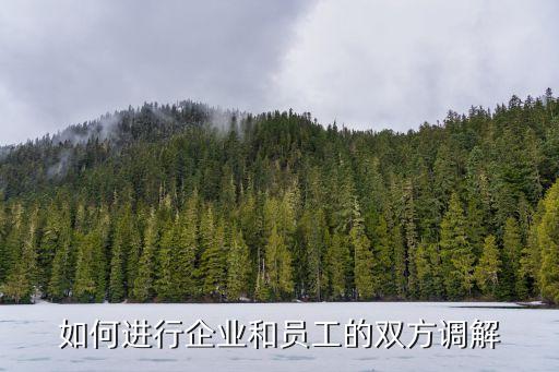 如何進行企業和員工的雙方調解