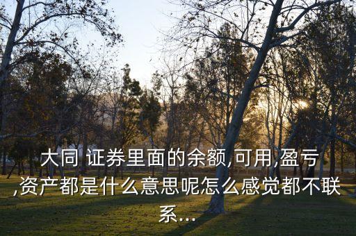  大同 證券里面的余額,可用,盈虧,資產都是什么意思呢怎么感覺都不聯系...
