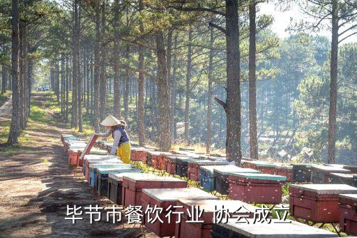 北京黔菜協會,貴州黔菜協會
