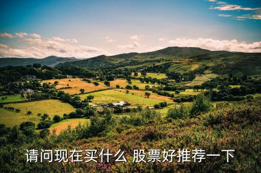 業績最號的股票,股票業績預告披露規則