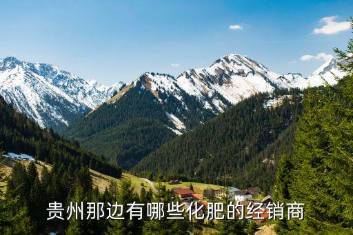 貴州那邊有哪些化肥的經銷商