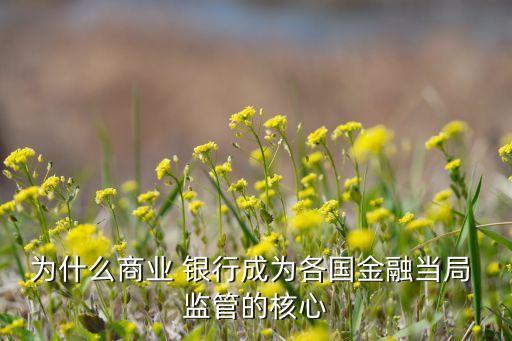 為什么商業 銀行成為各國金融當局 監管的核心