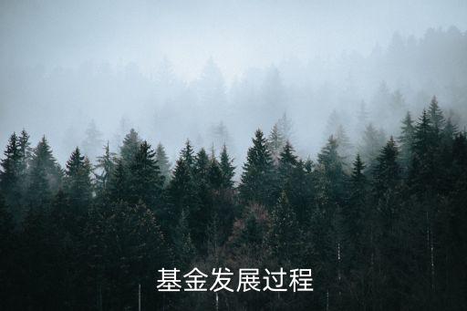  基金發展過程