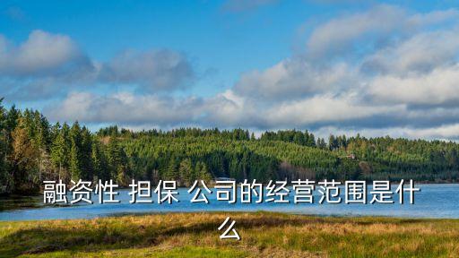 融資擔保公司屬于金融機構嗎,中小企業融資擔保公司是金融機構嗎