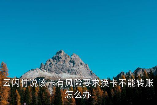 中國銀聯5號文件