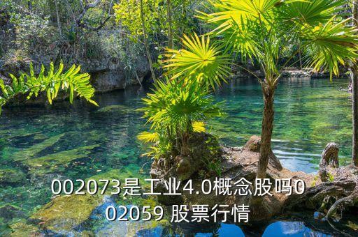 002073是工業4.0概念股嗎002059 股票行情
