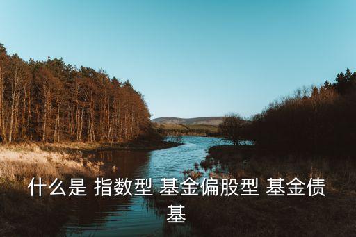 證券指數基金,富國中證證券指數基金