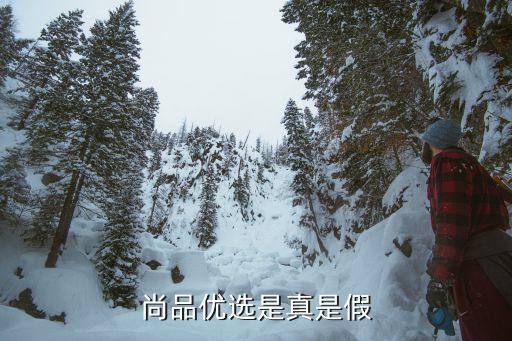 尚品優選是真是假