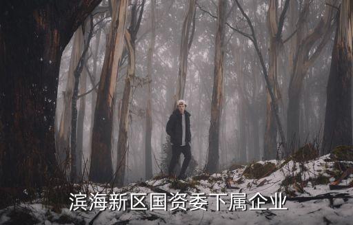  濱海新區國資委下屬企業
