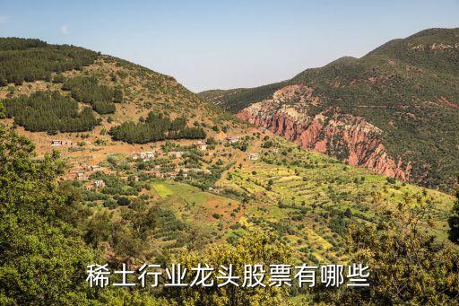 稀土行業龍頭股票有哪些