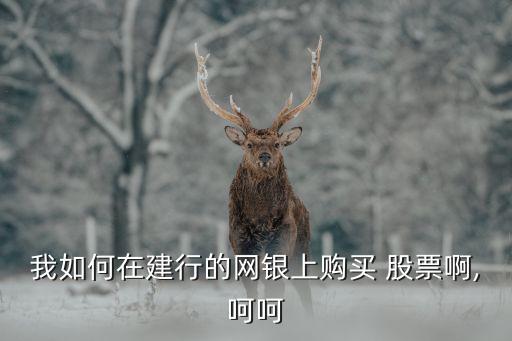 我如何在建行的網銀上購買 股票啊,呵呵