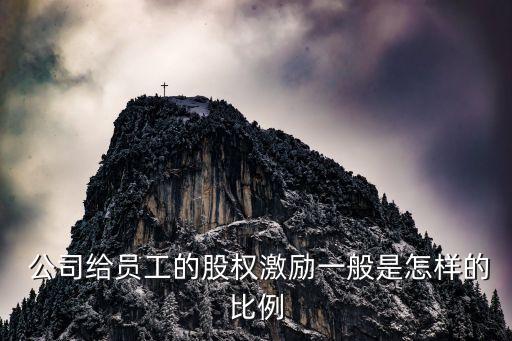 創業公司期權百分比,期權百分比是什么意思