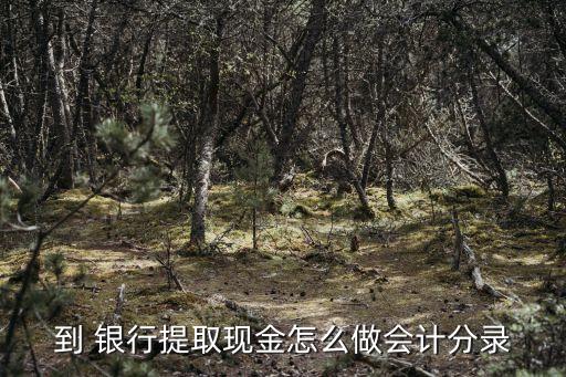 到 銀行提取現金怎么做會計分錄